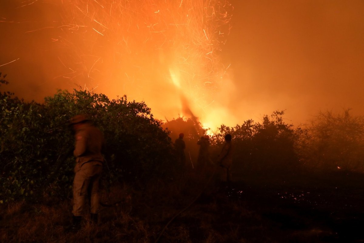 Inpe: Queimadas nos nove primeiros meses de 2020 são as maiores em 10 anos