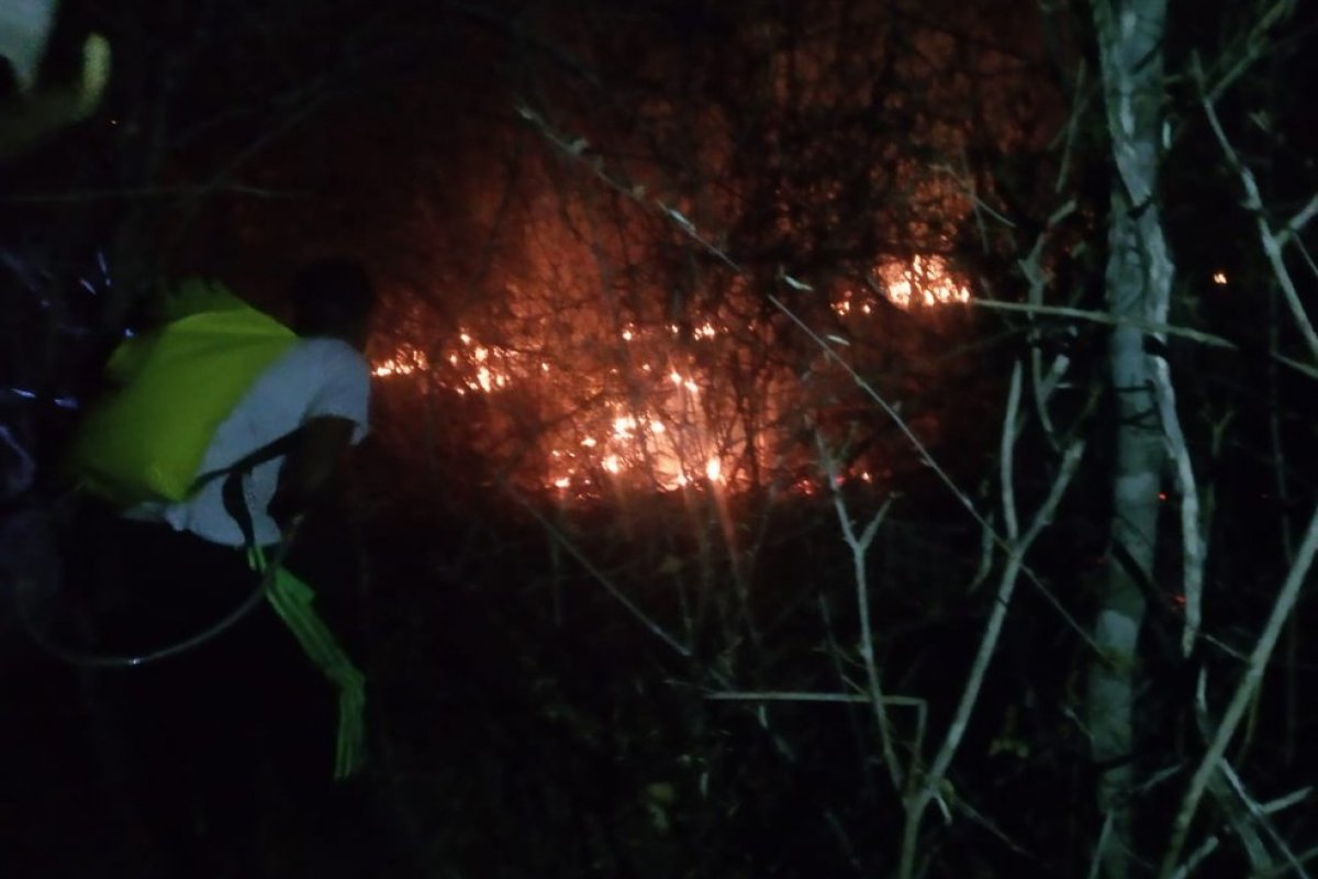 Bombeiros seguem combatendo incêndio no Parque Nacional da Chapada Diamantina