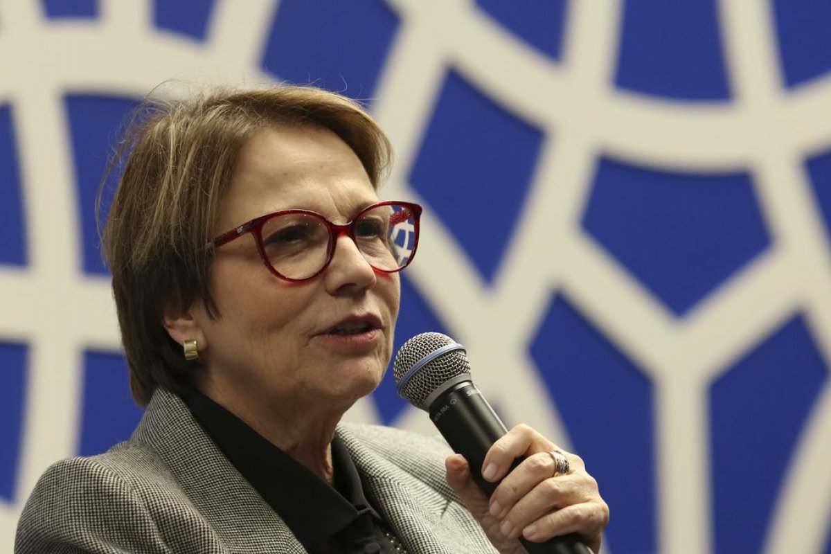 Ministra diz que, se houvesse mais gado no Pantanal, "desastre"  seria menor 