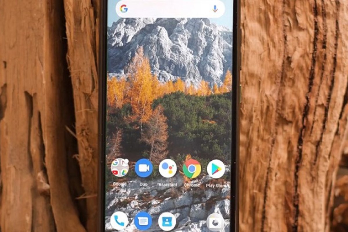 Telas de smartphones poderão ser feitas de madeira transparente