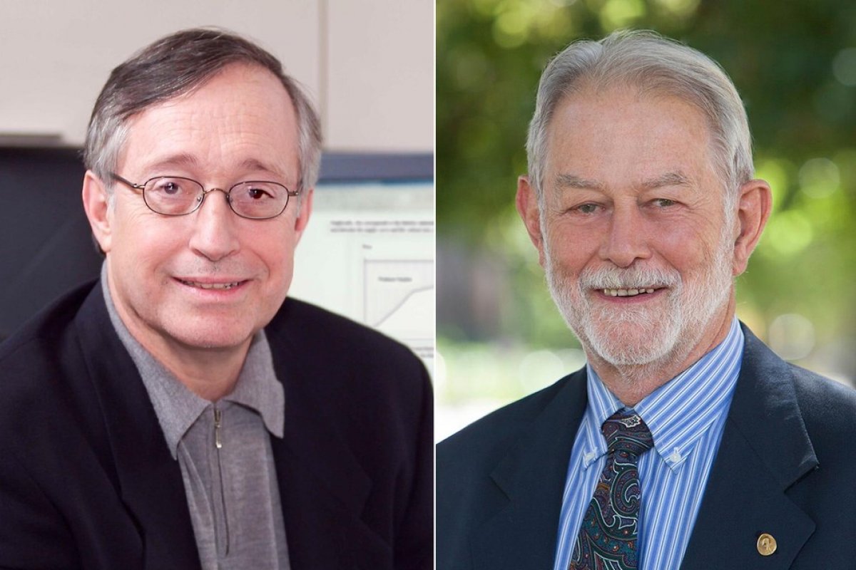 Nobel de Economia: Paul Milgrom e Robert Wilson são os vencedores