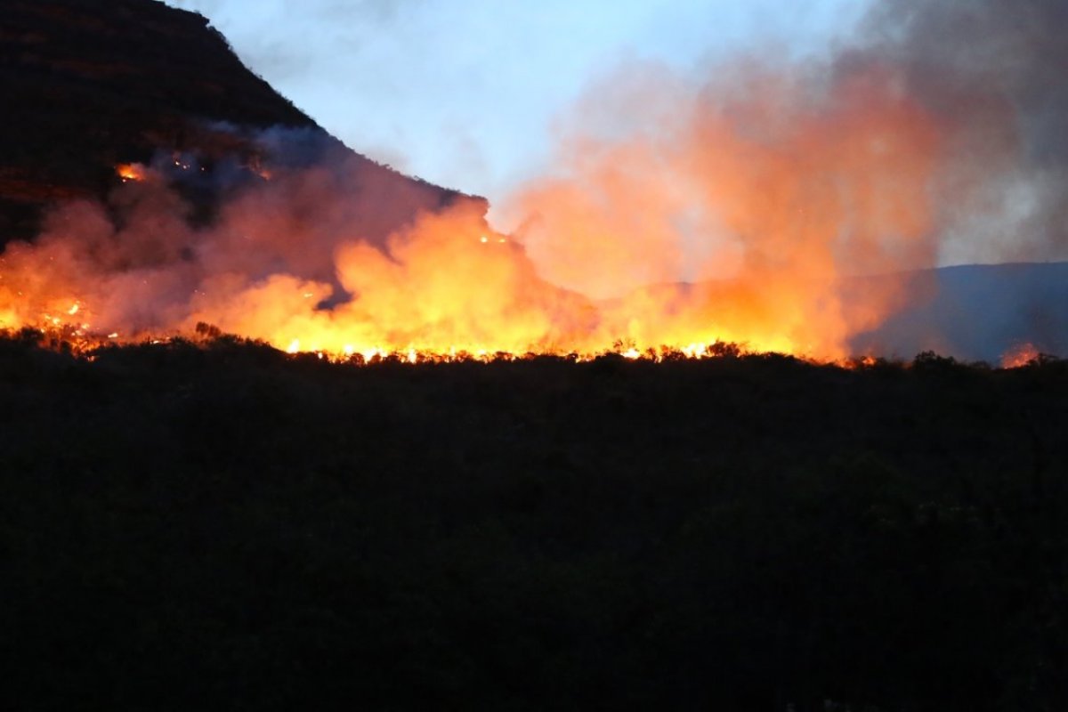 Em 15 dias Bahia já registra mais focos de incêndio que em outubro de 2019, diz Inpe