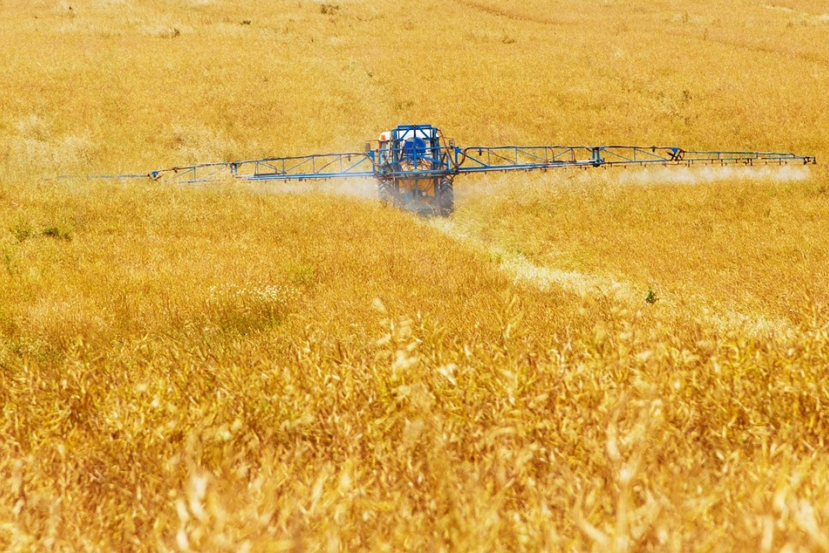 Fertilizantes passam a ter registro automático