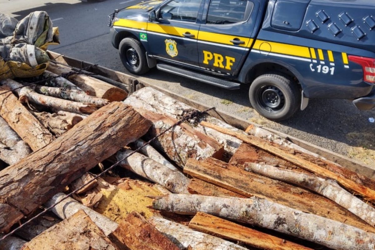PRF-BA apreende carga de madeira nativa transportada de forma ilegal na BR 330
