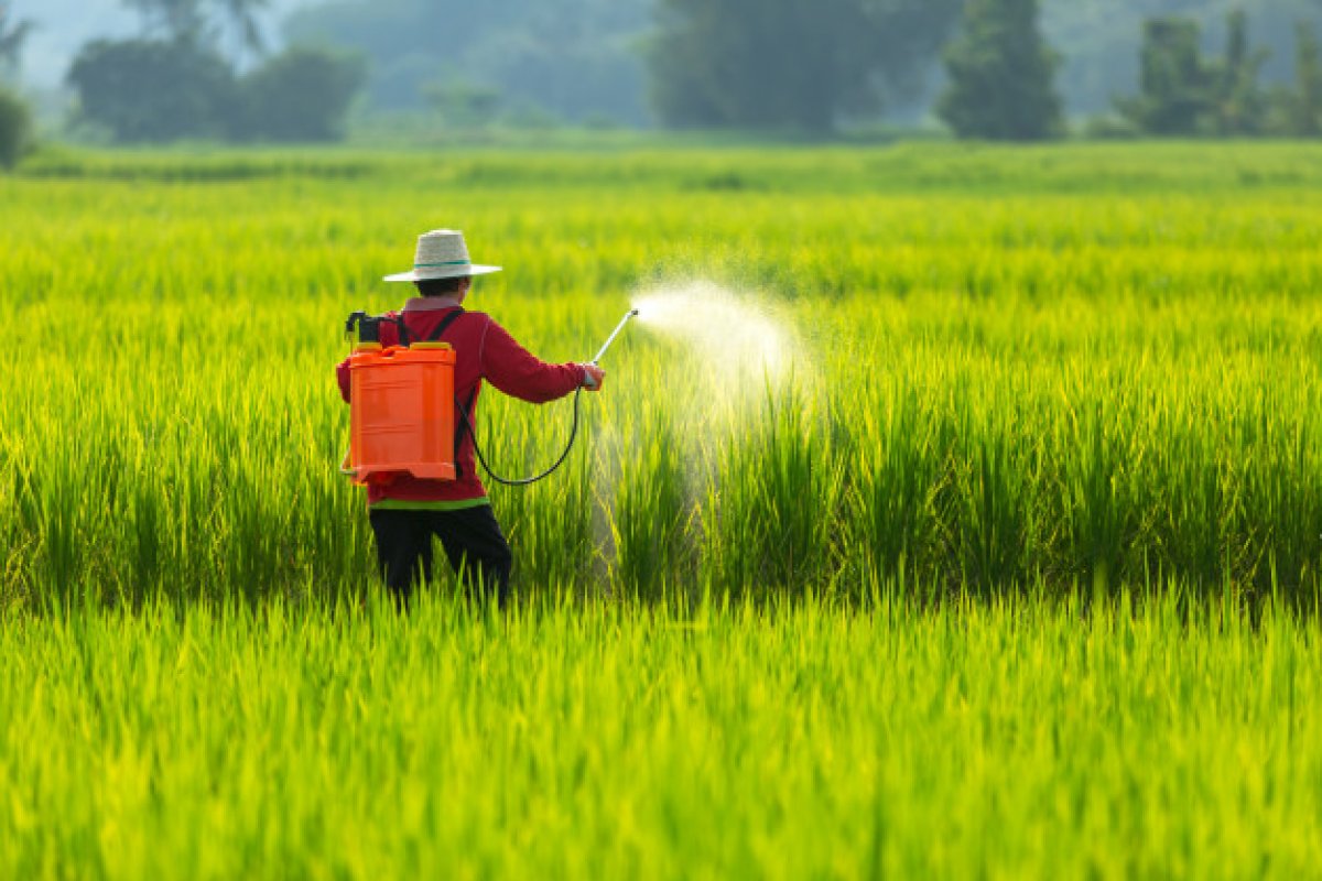 Novo Marco Regulatório prevê alterações nos rótulos e nas bulas dos agrotóxicos