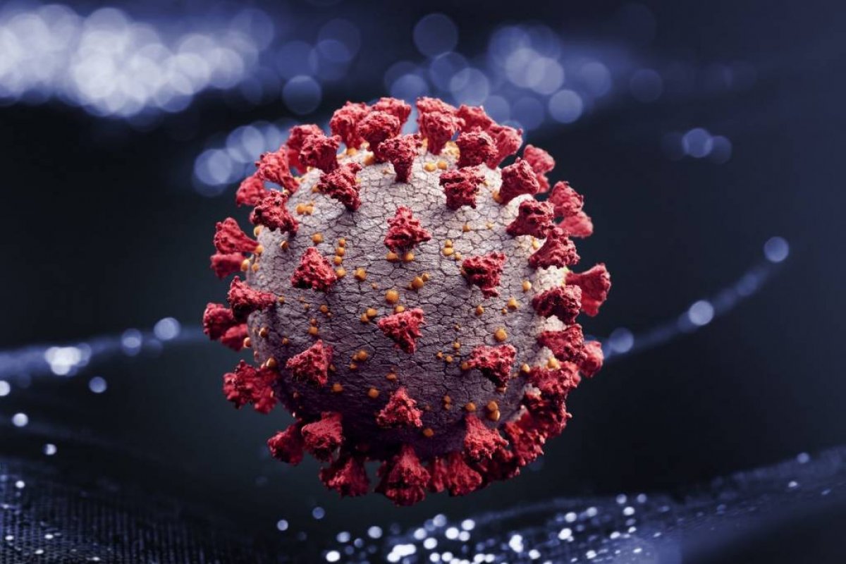 Veja os últimos dados da pandemia de Covid-19 nesta terça-feira (27)