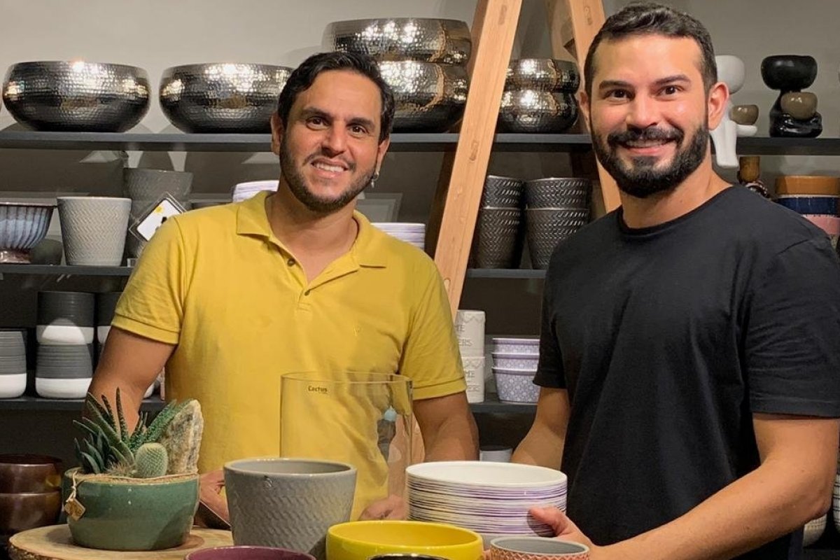 Cactos domésticos: como utilizá-los na decoração?
