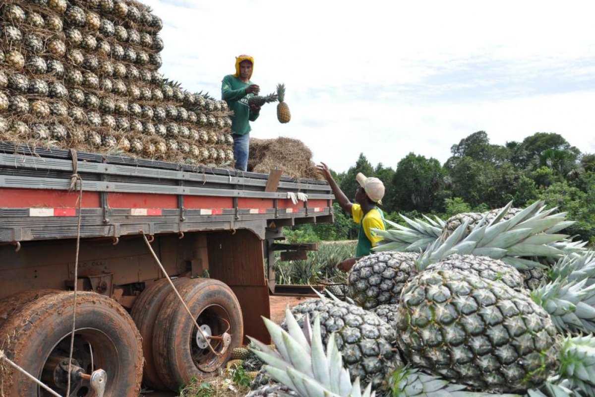 Demanda por frutas tropicais 