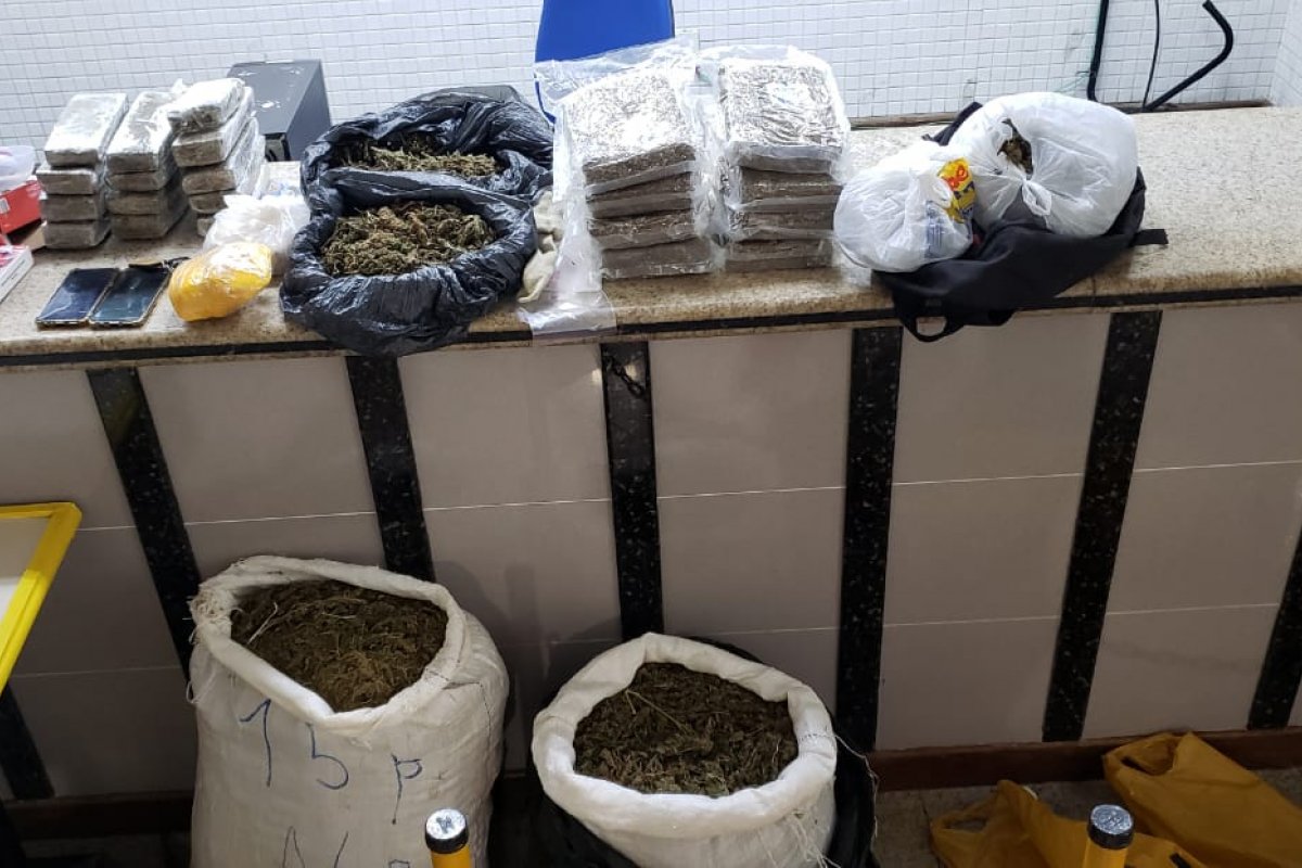 Policia apreende 61kg de maconha que seriam distribuídos em Salvador