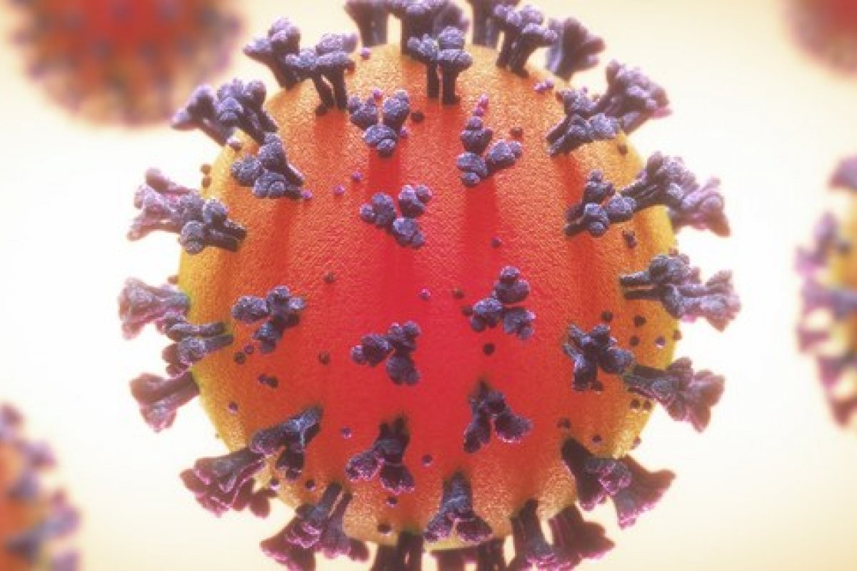 Confira os últimos dados atualizados da pandemia nesta sexta-feira (30)