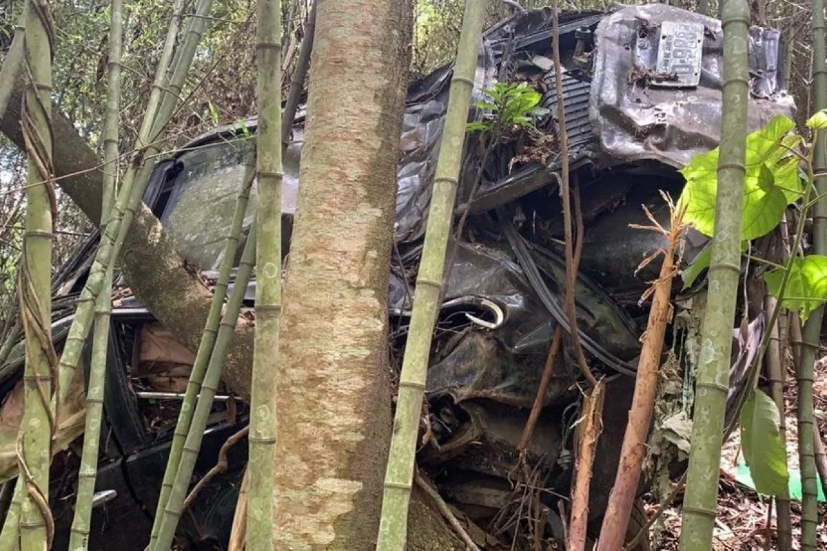 Ossada dentro de carro pode ser de irmão do ator Marco Ricca, desaparecido há seis anos.