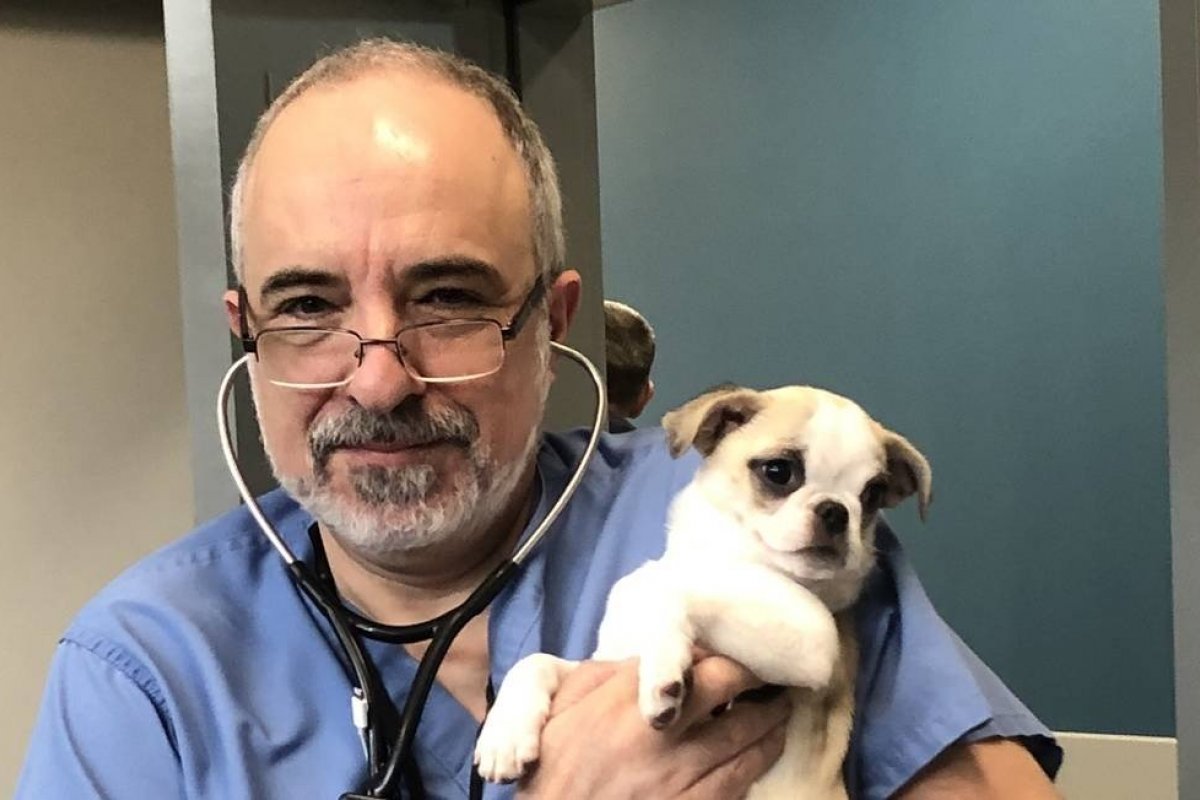 Cães e gatos não transmitem Covid-19, diz veterinário