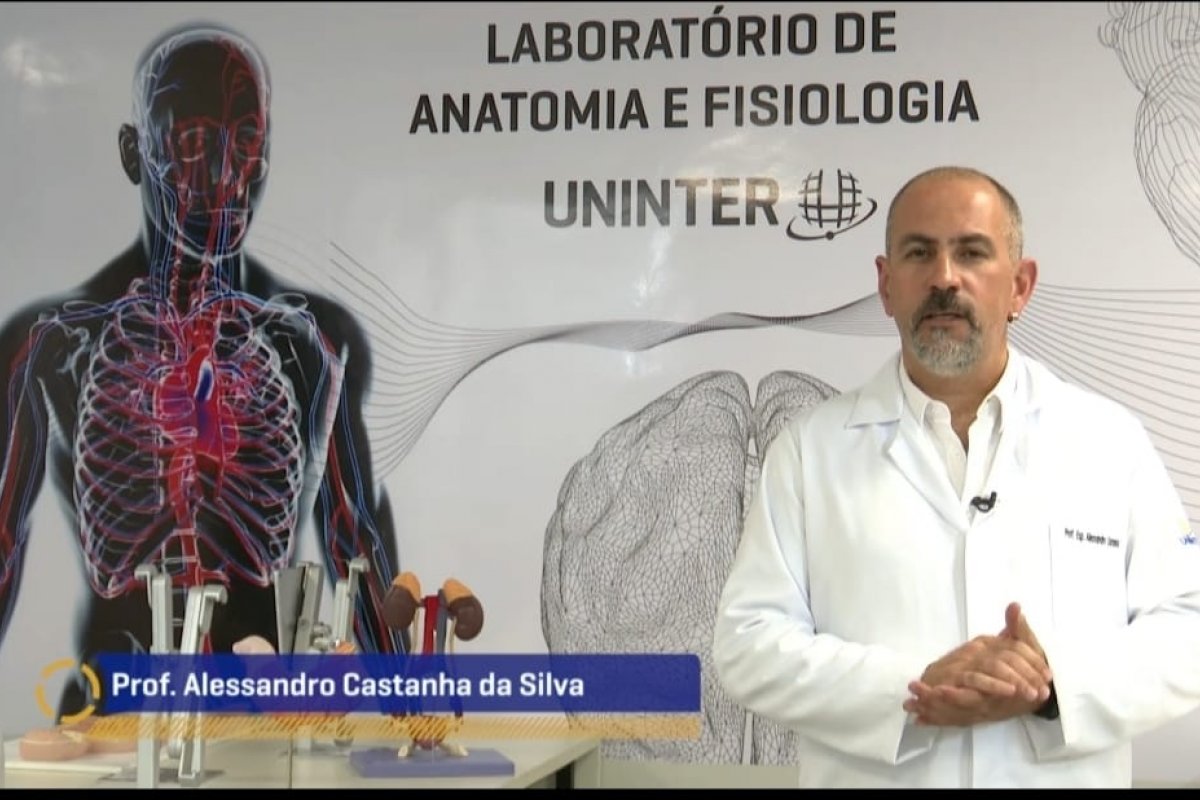 Aulas de anatomia ficam mais dinâmicas com realidade virtual