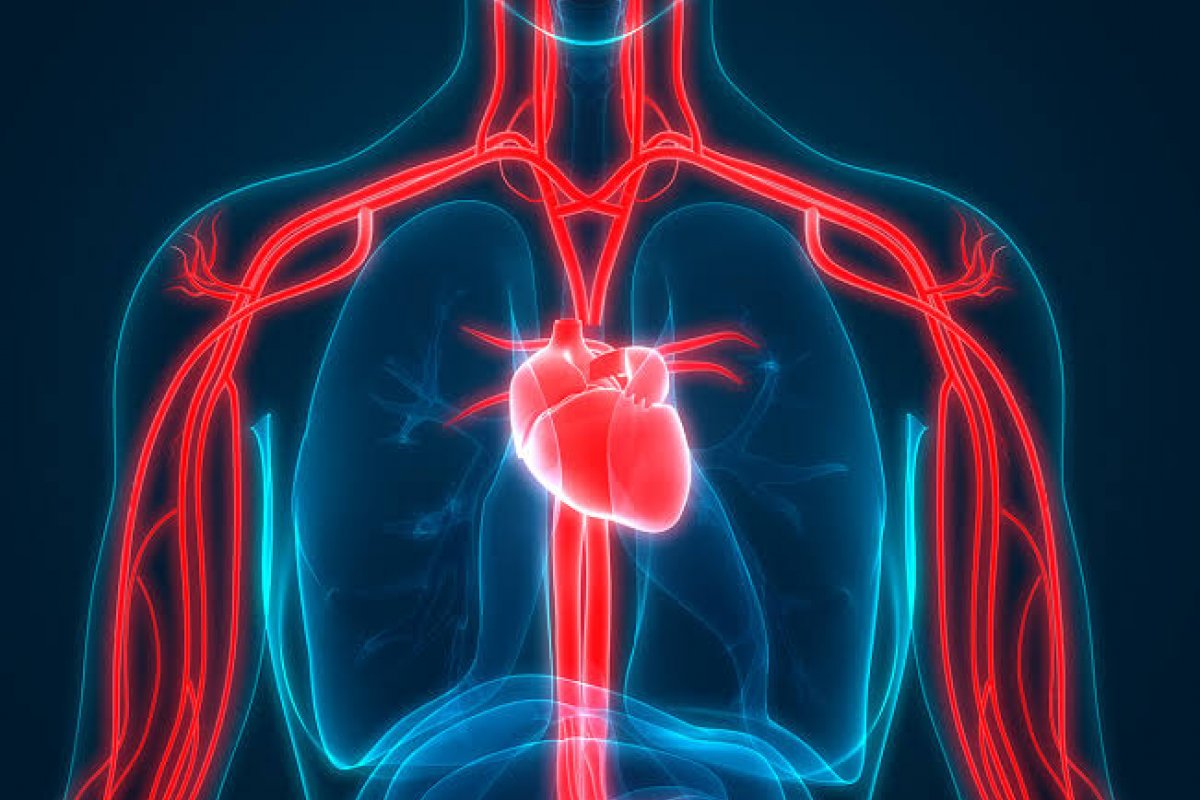 Severidade das ondas de calor aumenta risco de eventos cardiovasculares, aponta estudo