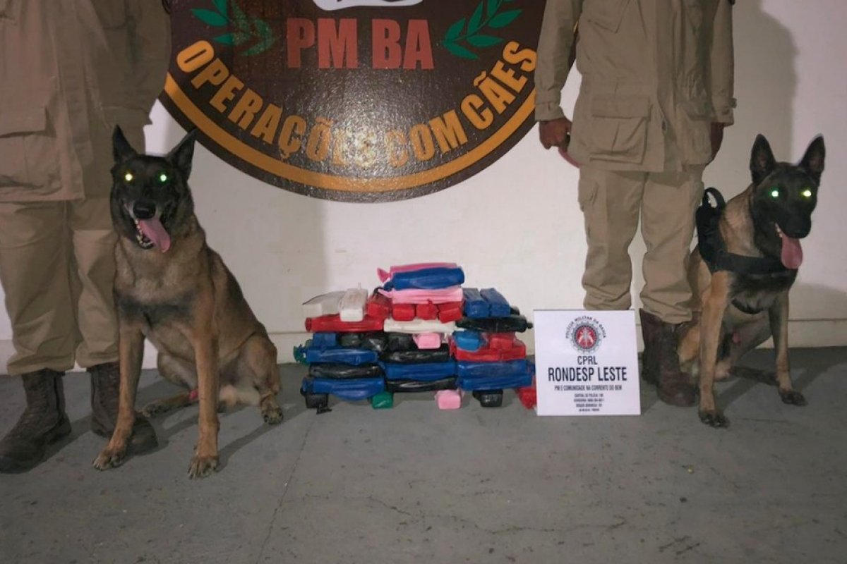 Quase 50 kg de cocaína são achados em tanque de combustível na Bahia