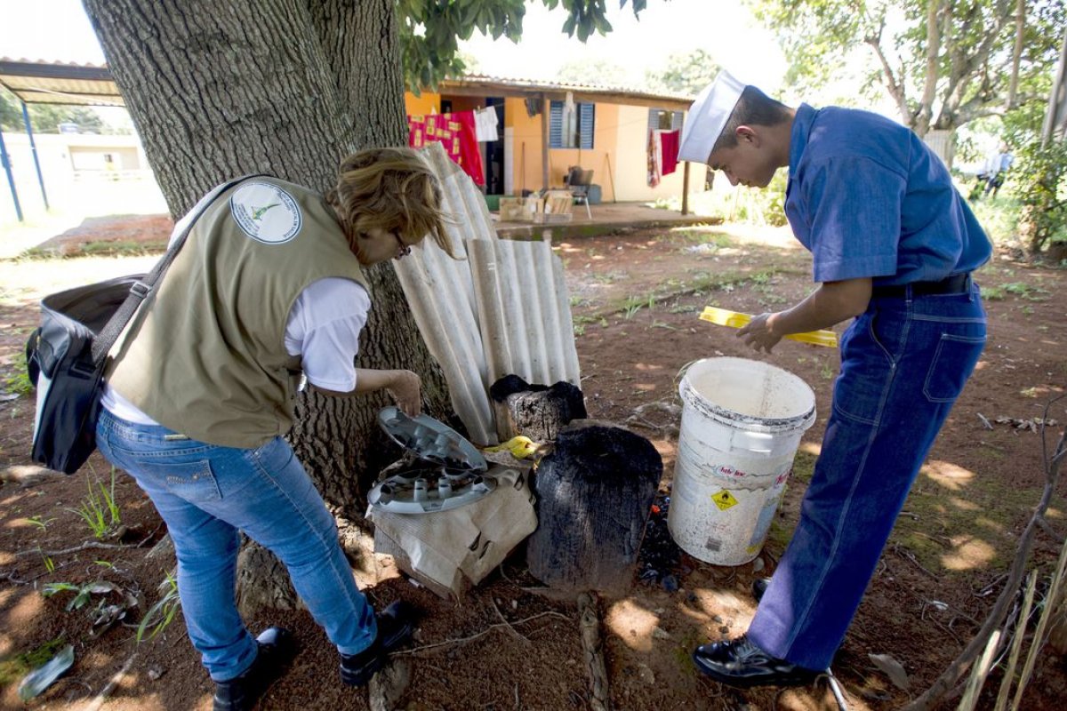 Ministério da Saúde lança campanha nacional em combate ao Aedes aegypti