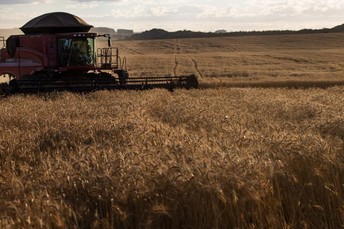 Ipea prevê menor crescimento do agronegócio em 2021