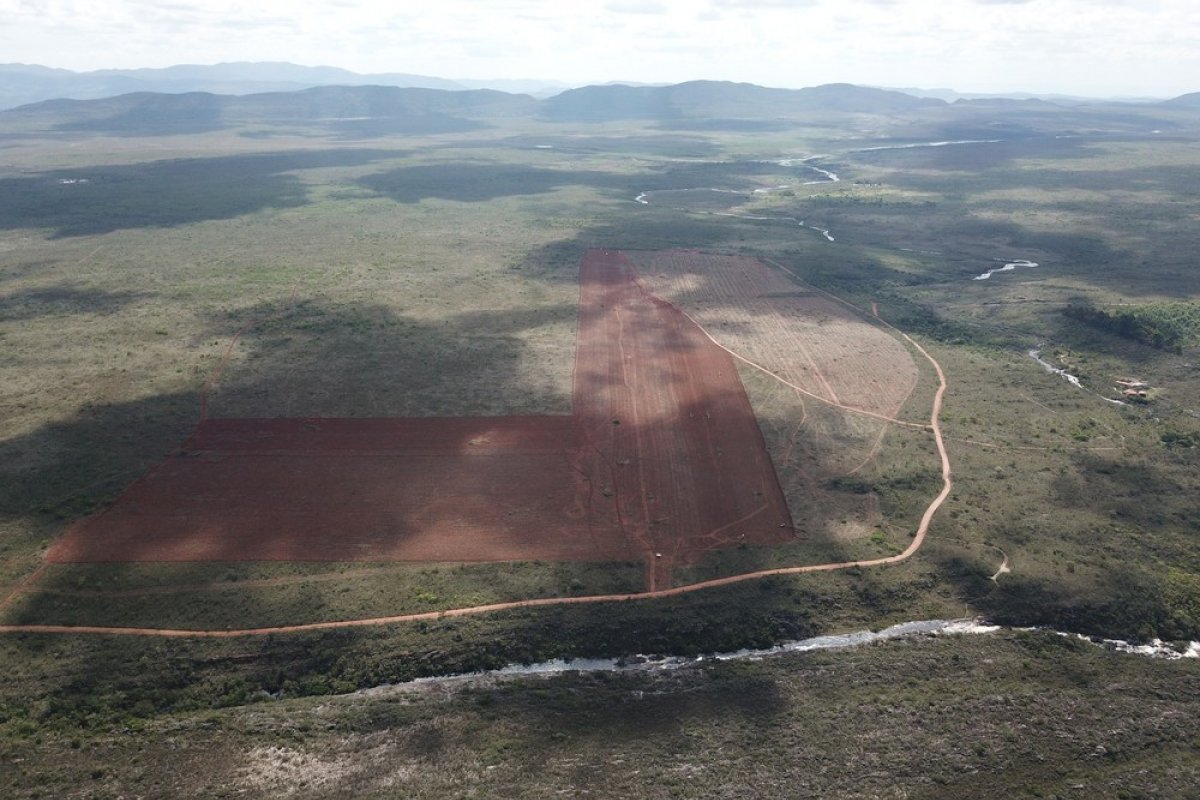 Área na Chapada Diamantina é desmatada com licença irregular e preocupa agricultores familiares 