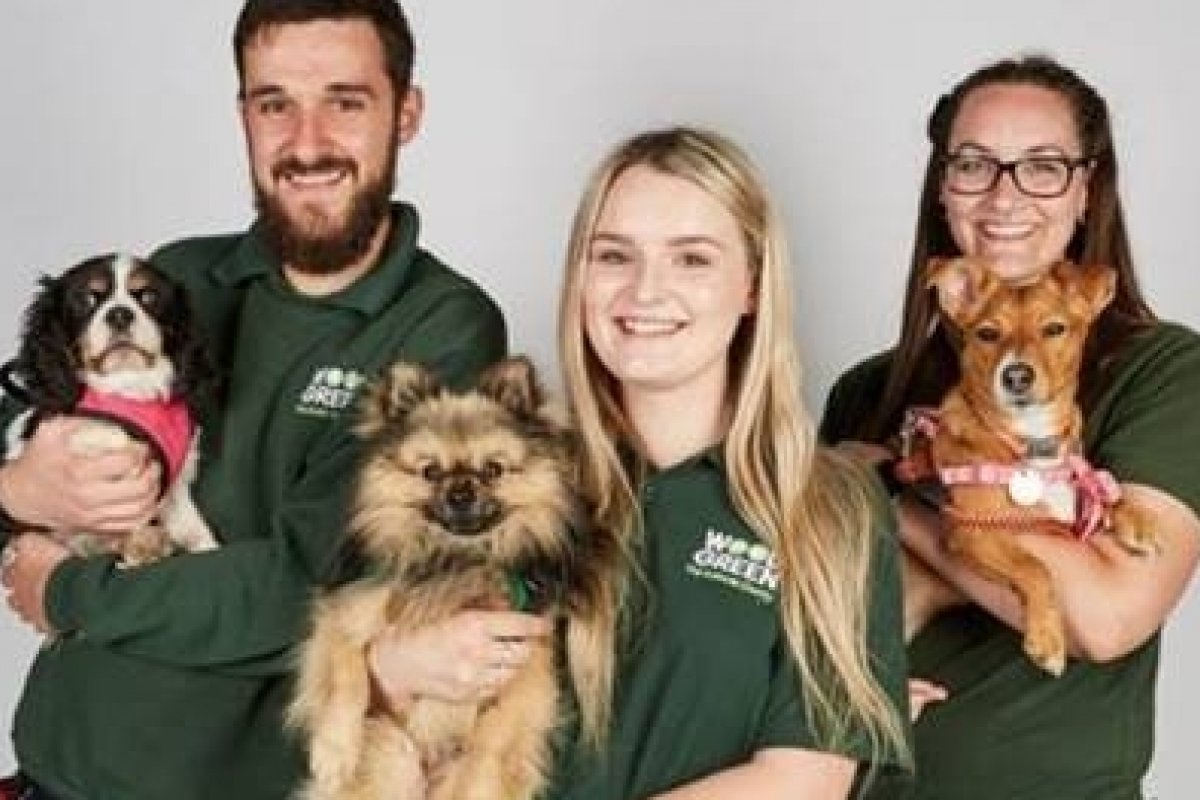 Vem aí uma nova série Dog House: Lar Perfeito na National Geographic Wild 