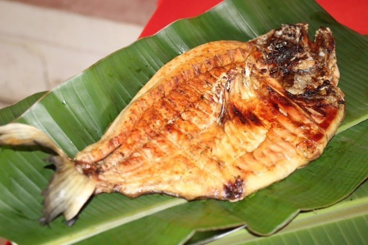 Ação distribui 6 toneladas de peixe na Esplanada dos Ministérios 