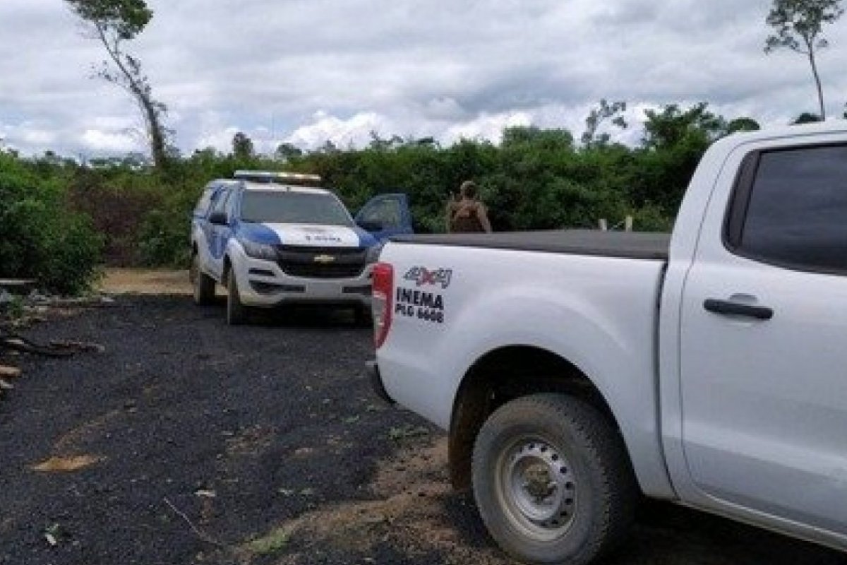 Operação do Inema combate crimes ambientais na Bahia