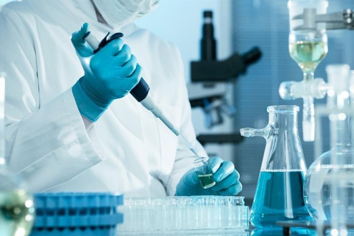 Laboratório para calcular carbono armazenado é inaugurado pelo Serviço Florestal e Ufam