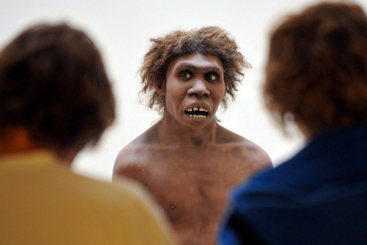 Neandertais praticavam sepultamento entre seus mortos, aponta pesquisa