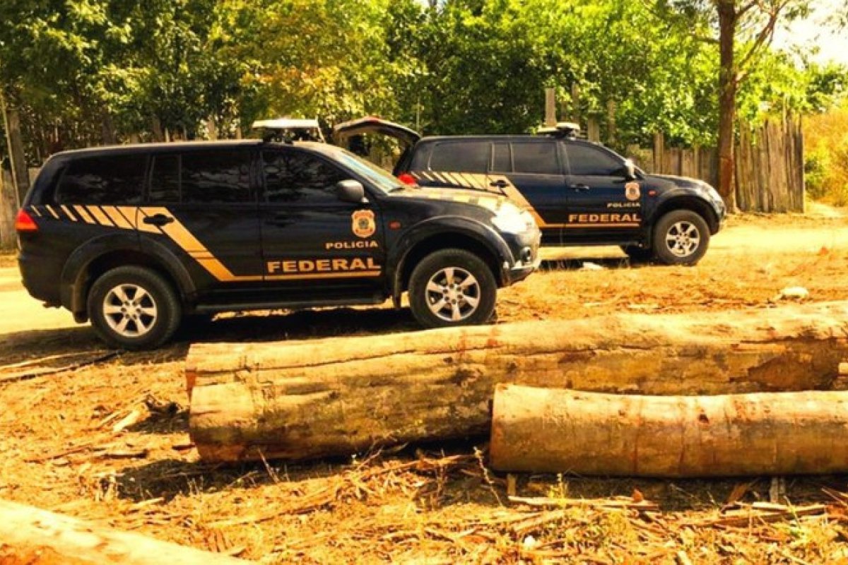 Polícia Federal faz apreensão histórica de madeira