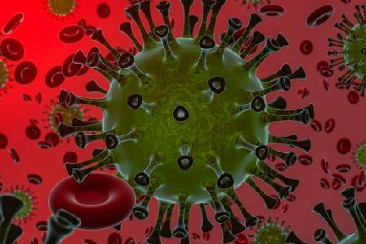 Nova cepa de Covid-19 é entre 50% e 74% mais contagiosa, diz estudo