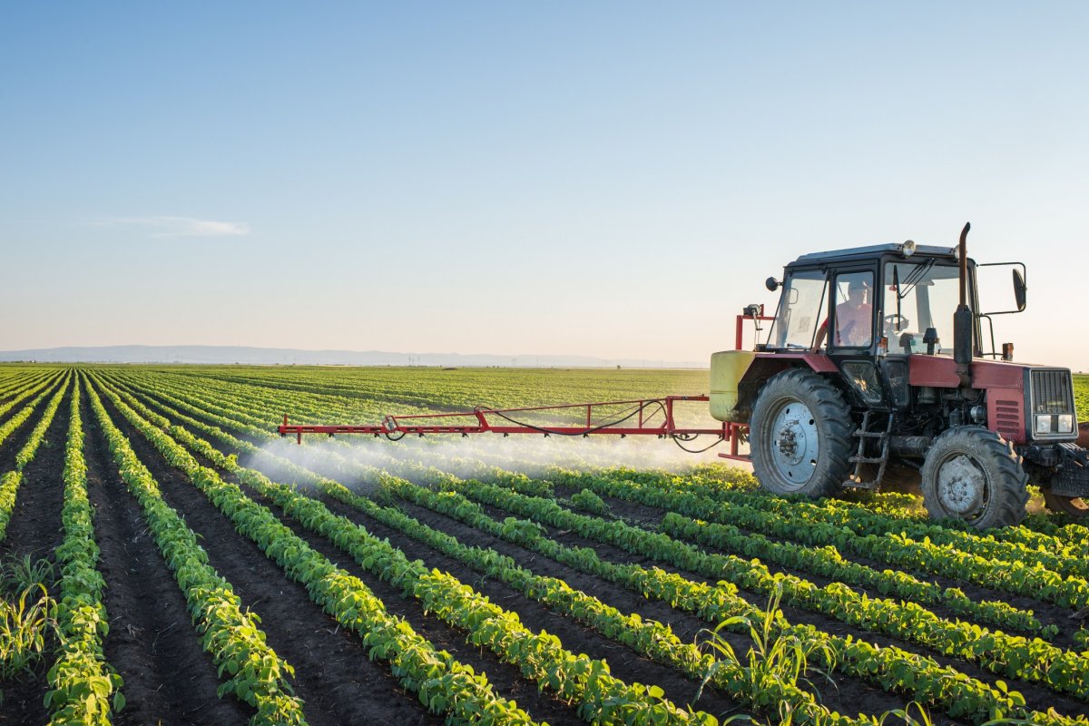 Agricultura somada ao uso do solo equivale a 23% das emissões de gases do efeito estufa, diz ONU