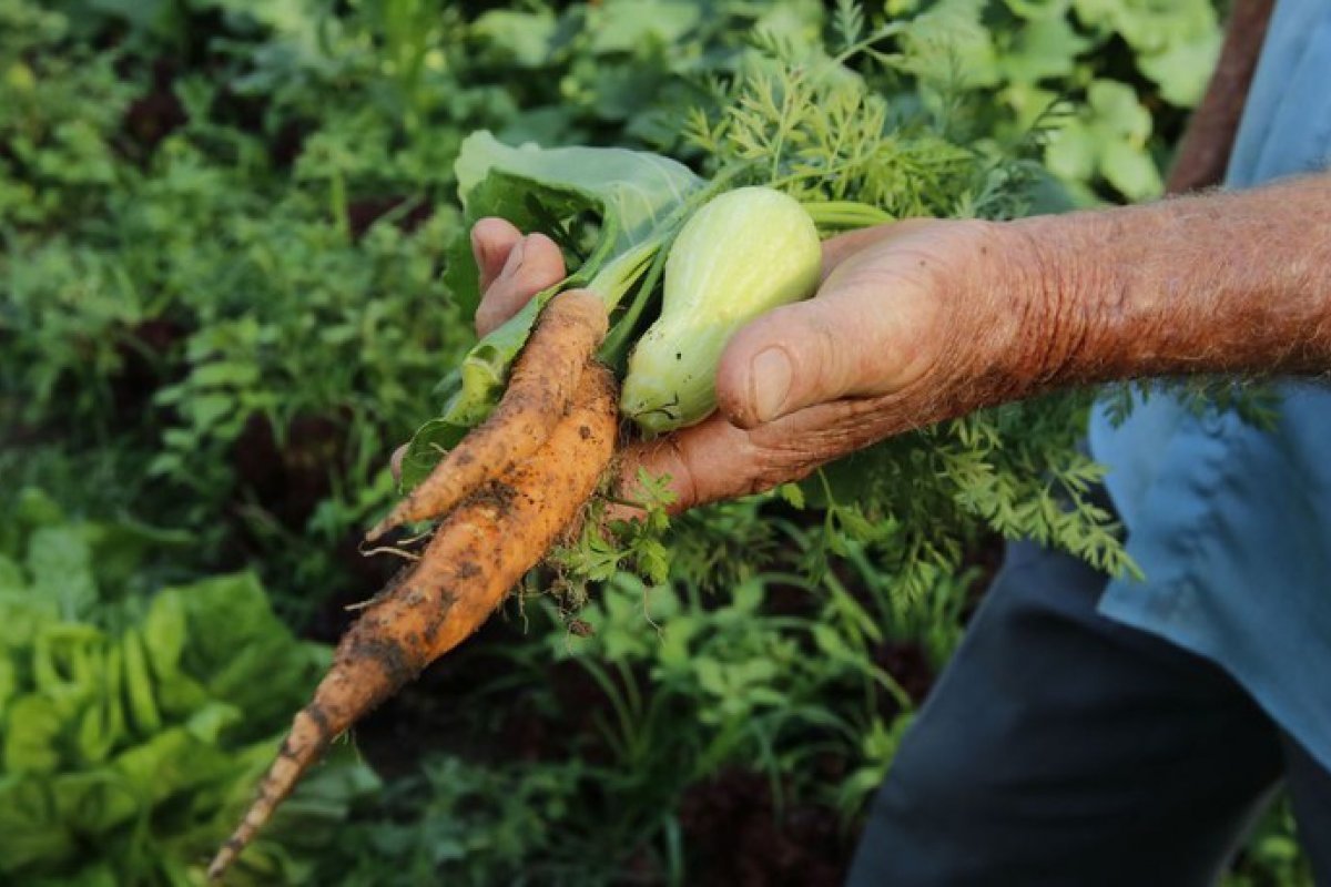 Mais de 22 mil agricultores familiares foram beneficiados pelo PAA 