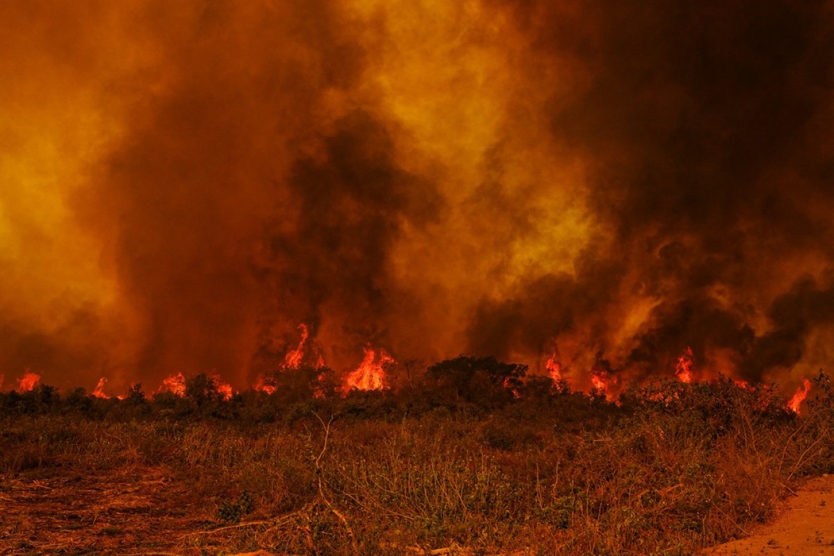 Brasil registrou mais de 222 mil focos de incêndio florestais