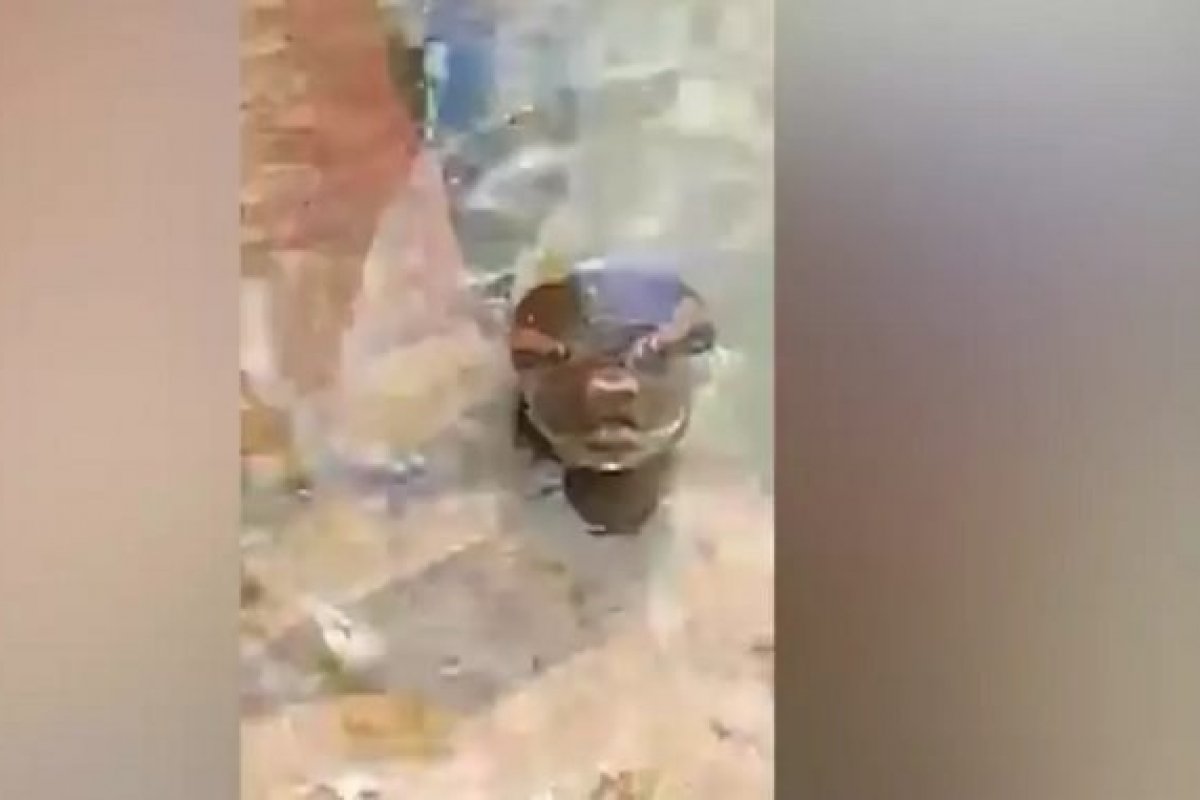 Vídeo: Sucuri nada tranquilamente e assusta banhistas no Mato Grosso do Sul