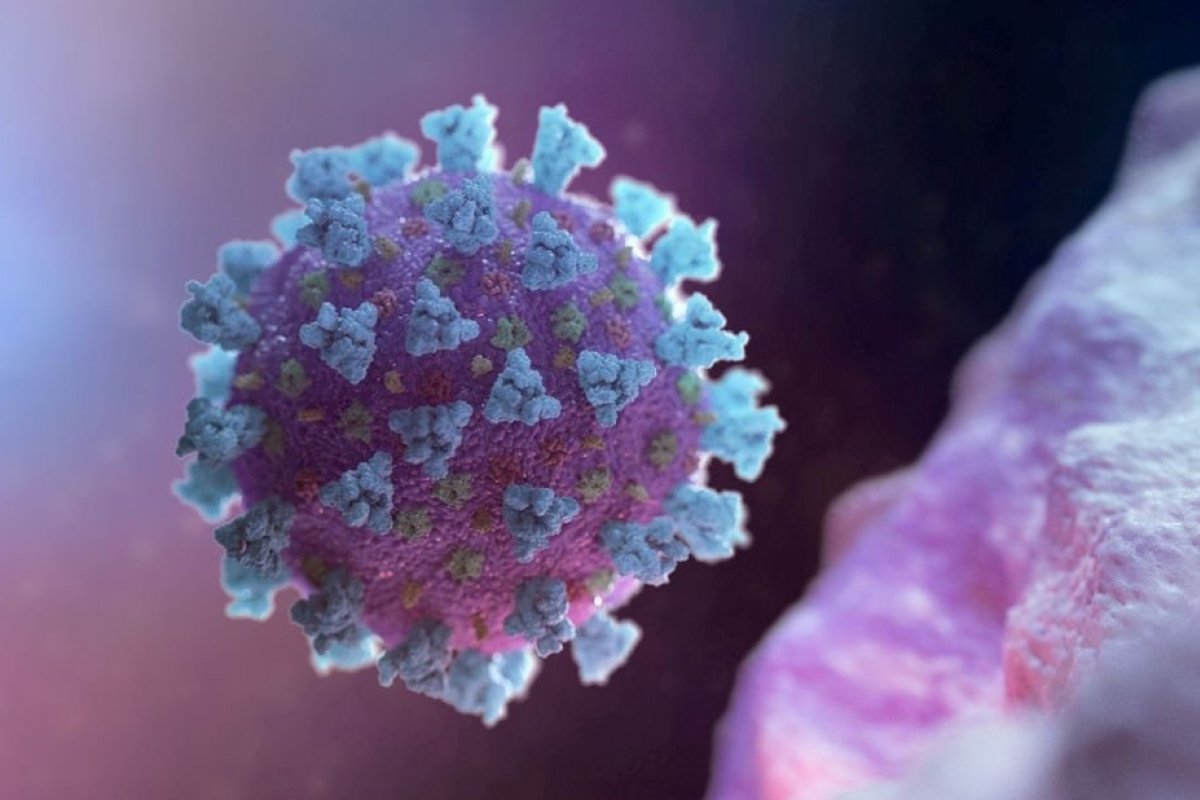 Covid-19: Mutação identificada no Brasil pode afetar o alcance de proteção das vacinas, diz estudo 