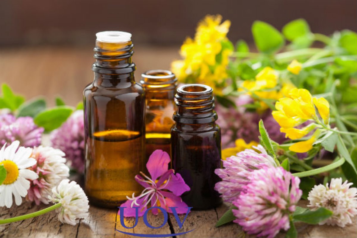 Como os florais de Bach podem ajudar cada signo a ter um 2021 mais leve? Especialista revela!