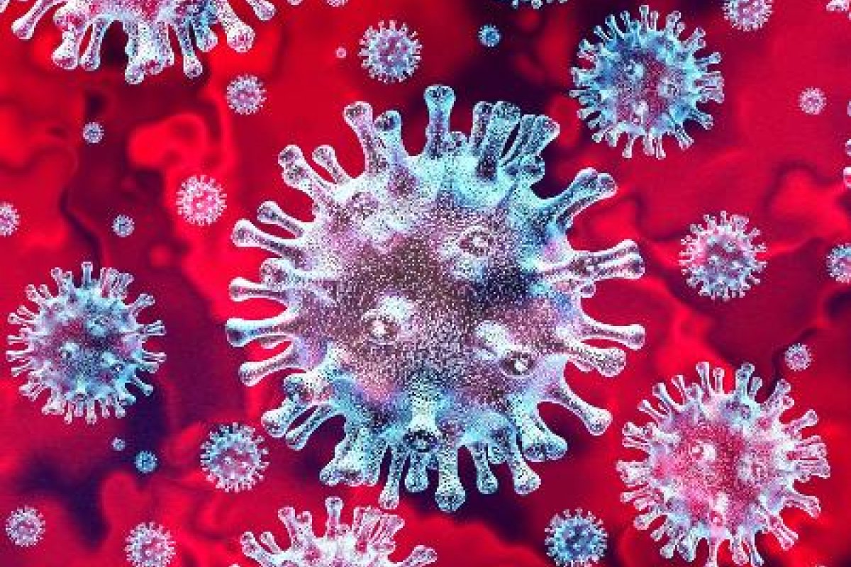 Estudo aponta fortalecimento de anticorpos seis meses após infecção por coronavírus 