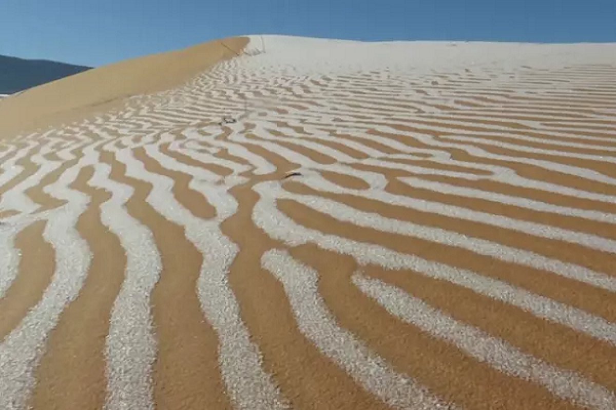 Após 40 anos, deserto do Saara volta a registrar fenômeno raro de dunas com gelo