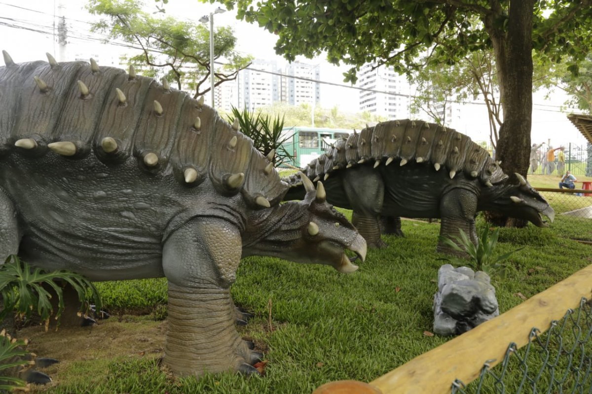 Lagoa dos Dinossauros vai funcionar por agendamento