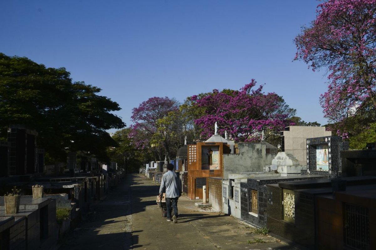Disparidades no Norte e Nordeste agravam mortalidade por Covid-19 no Brasil, aponta estudo