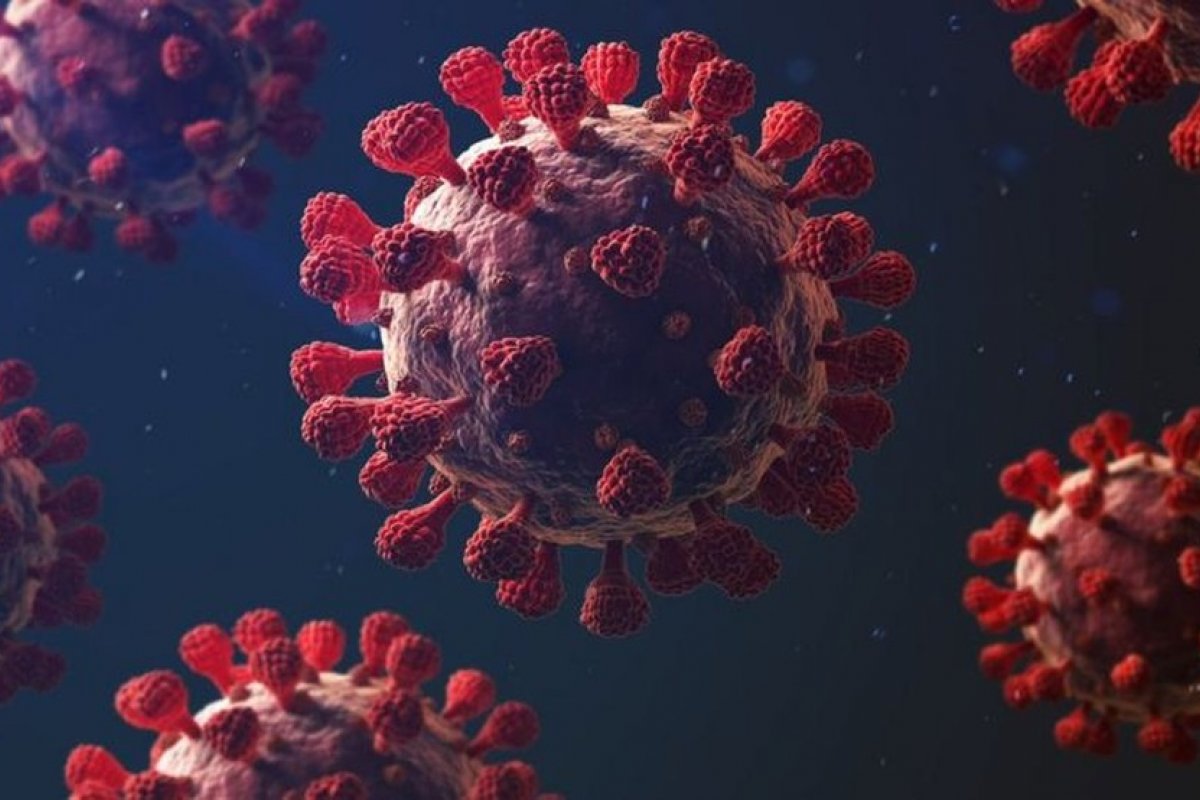 EUA atingem mais de 25 milhões de infectados pela covid-19