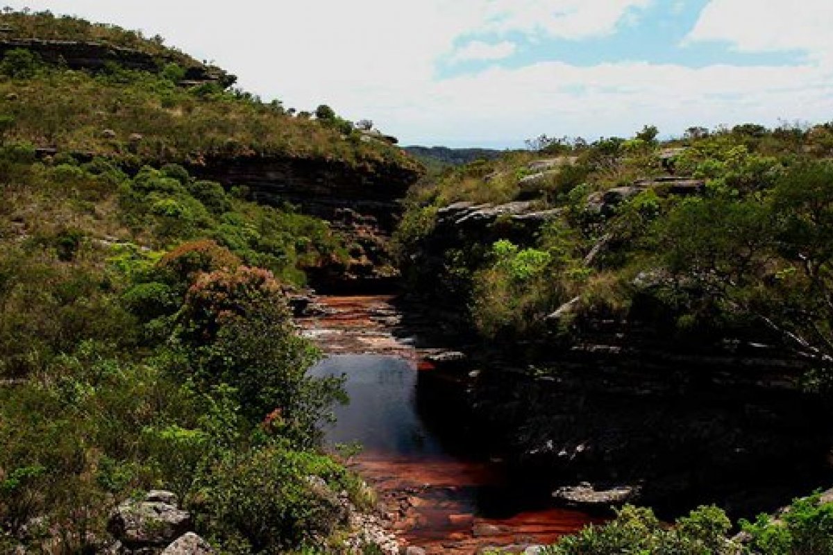 Ministério do Meio Ambiente direciona recurso para o Floresta+ recuperar mata nativa na Bahia