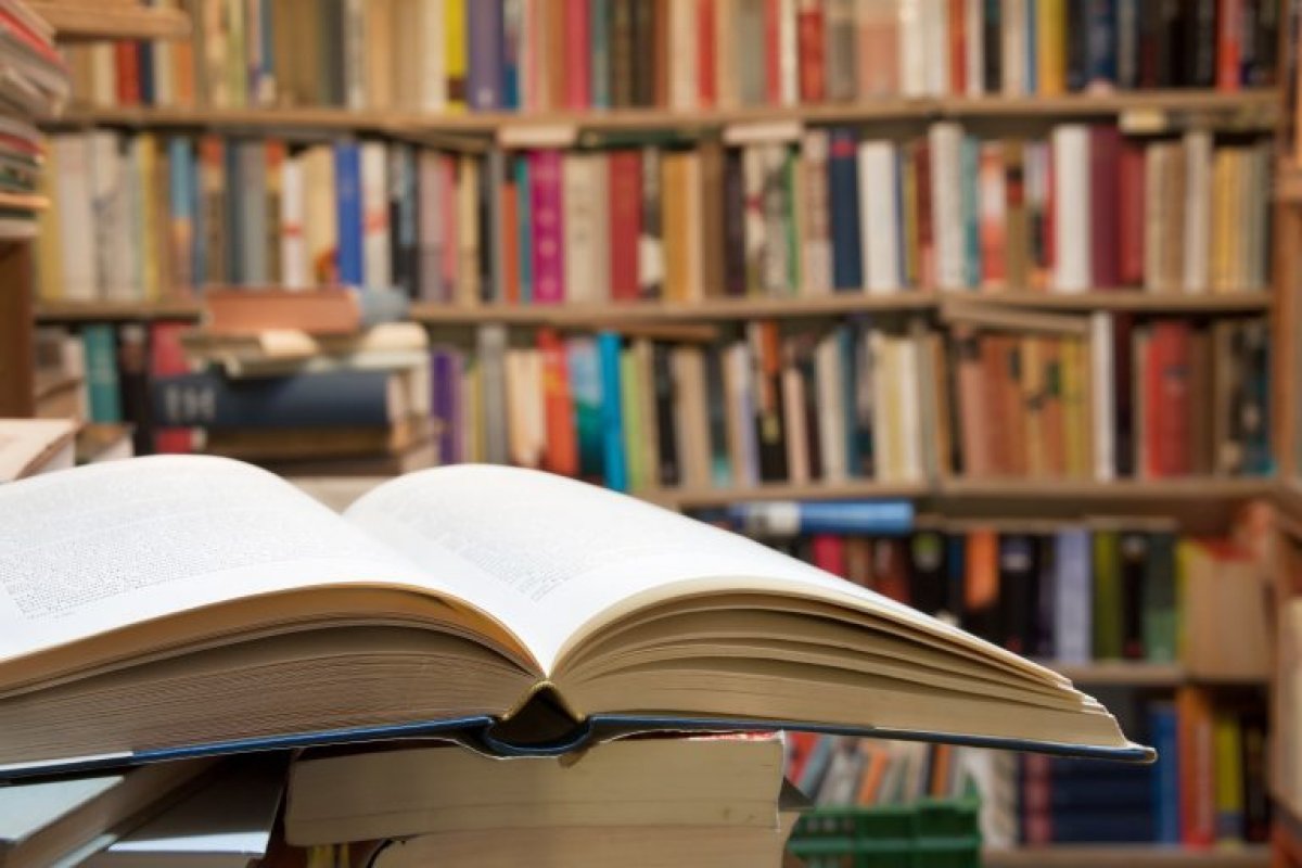 Criação de mais bibliotecas públicas pelo Brasil avança na Câmara