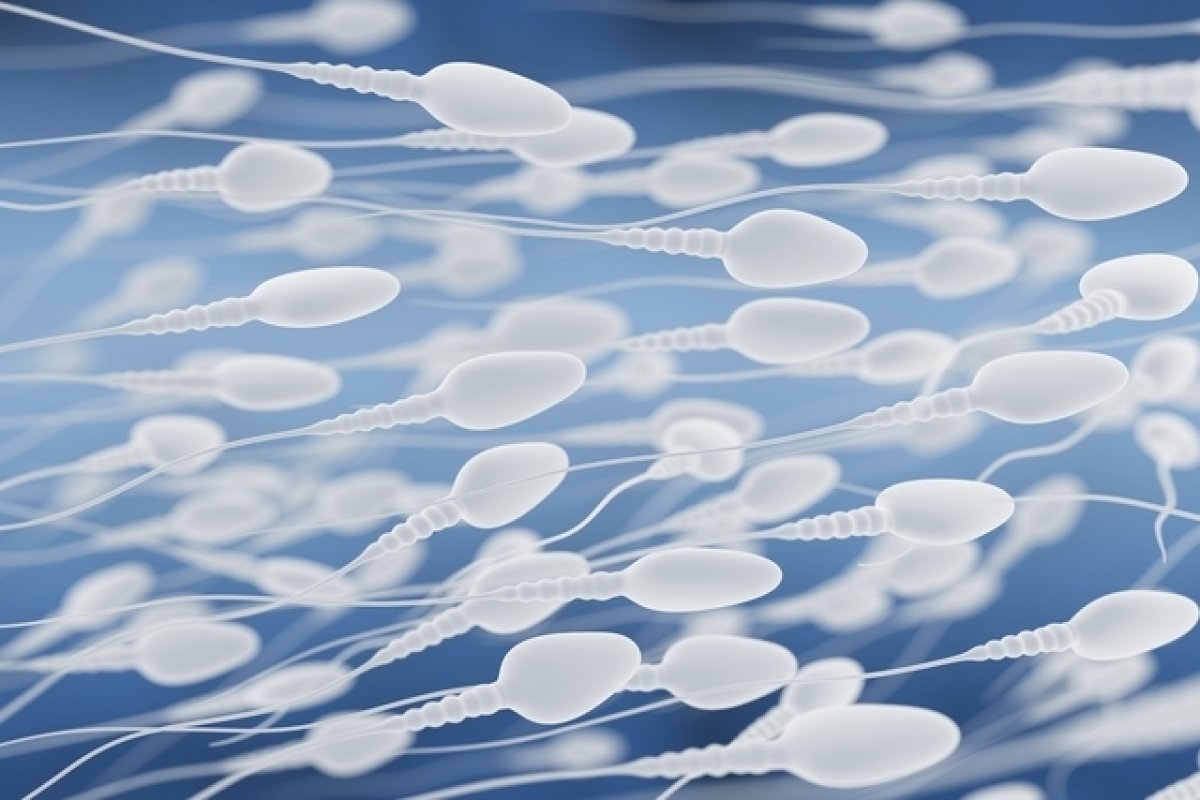 Estudo alemão afirma que Covid-19 pode reduzir e provocar danos a fertilidade masculina