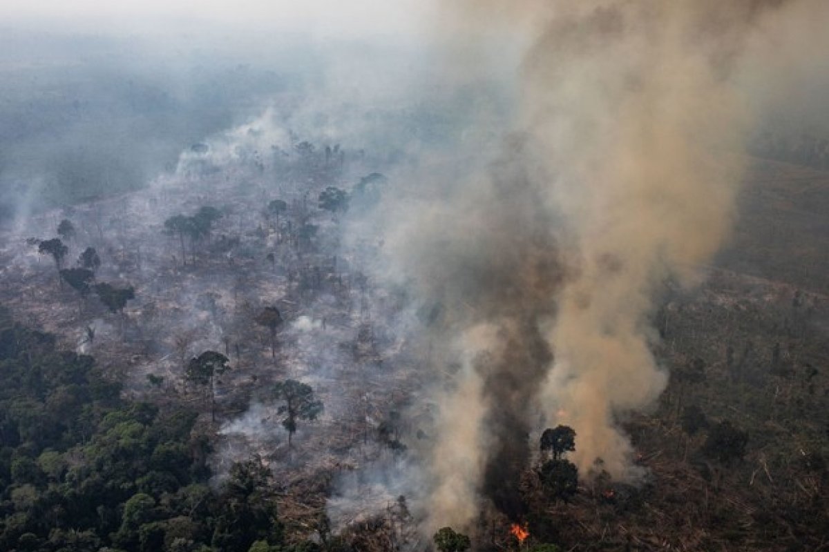 77% dos brasileiros não querem crescimento econômico que cause dano ao ambiente