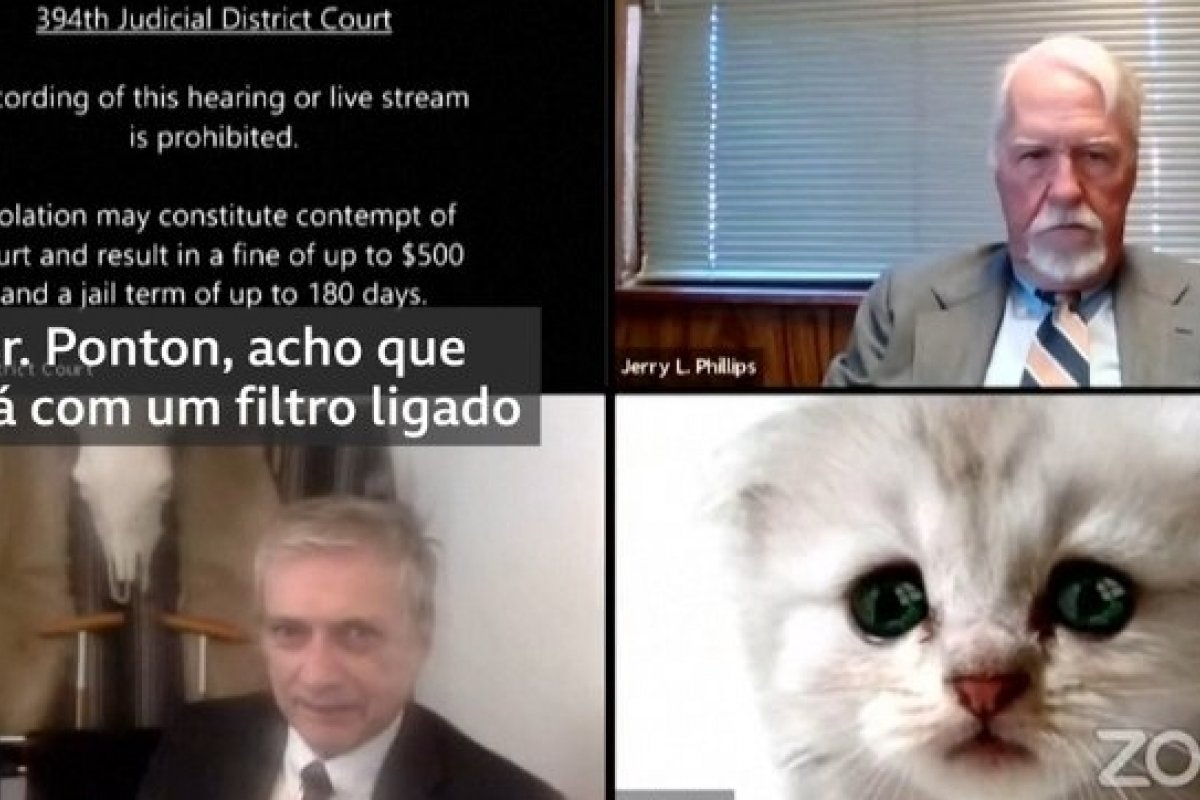 Vídeo: Durante audiência com juiz nos EUA, advogado vira gato 
