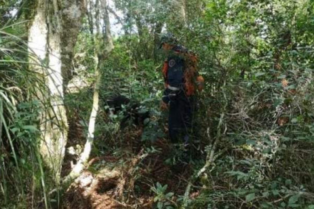  Menina de 14 anos é encontrada morta em Campo Belo do Sul, em SC