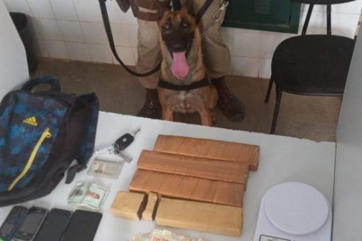Dois suspeitos de tráfico são presos após cadela da PM encontrar tabletes de maconha dentro de veículo 