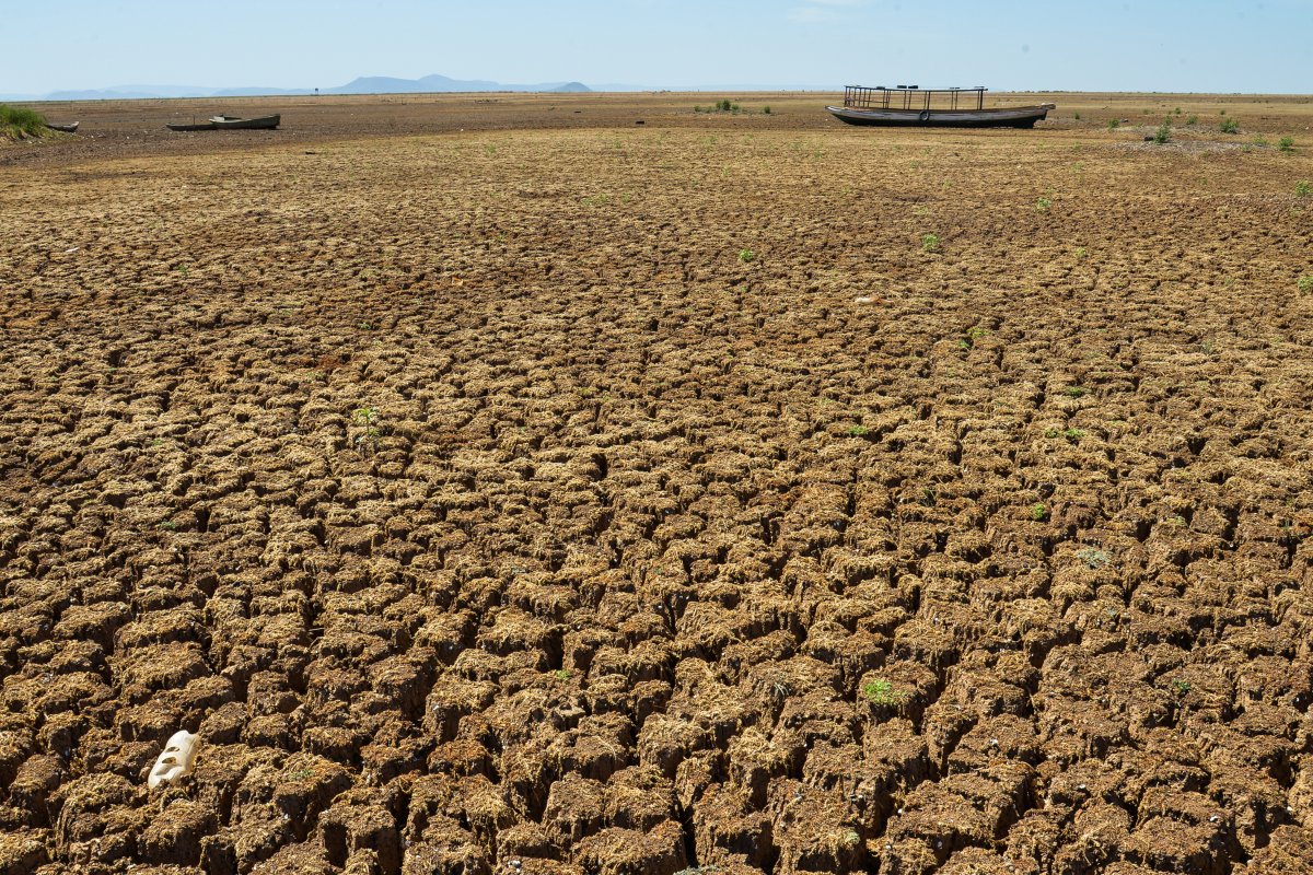 Seguro rural paga R$ 925 milhões em indenizações