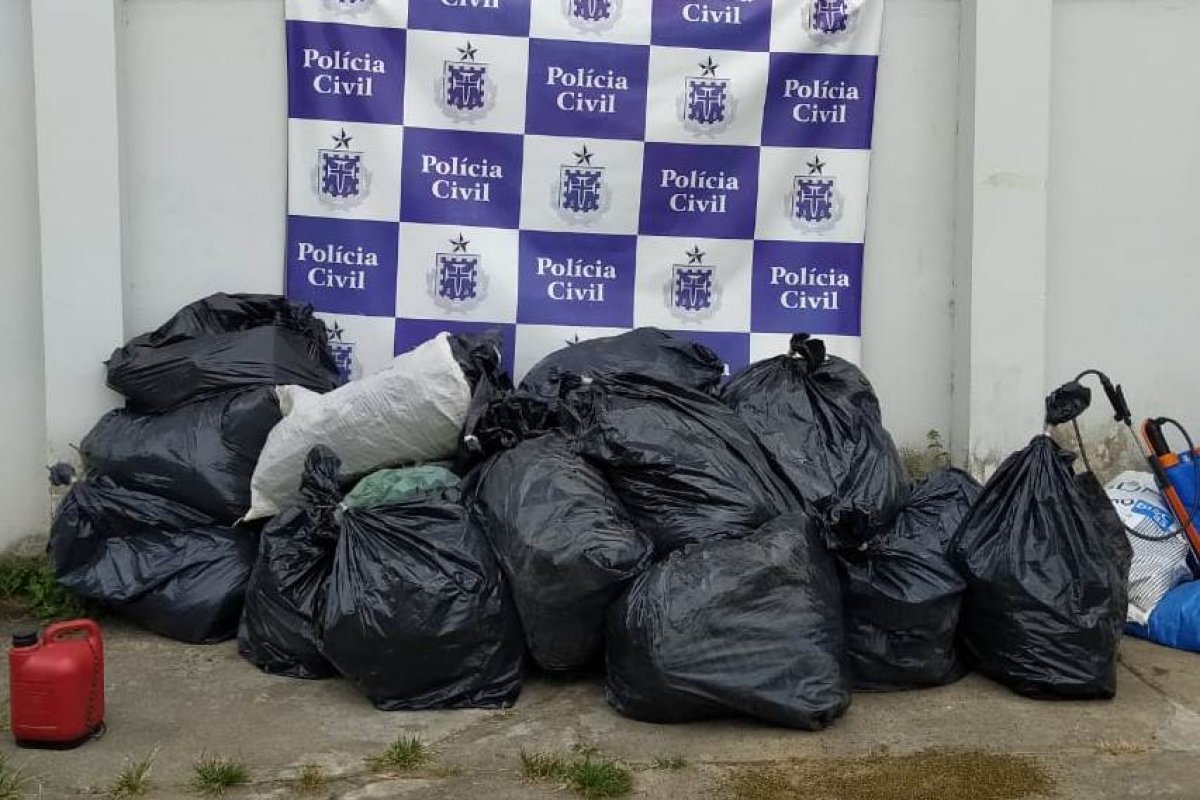 Mais de 300 quilos de maconha são apreendidos durante operação no norte da Bahia