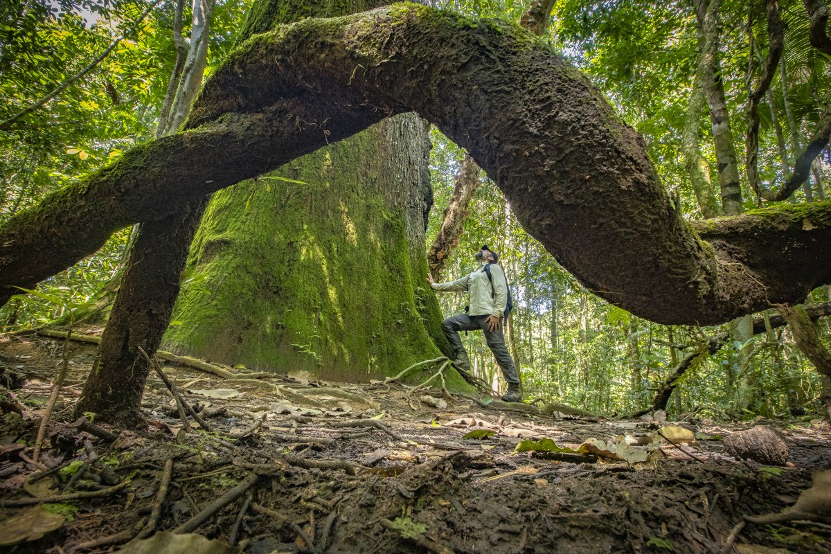 5 hotéis de natureza para curtir no Dia do Turismo Ecológico